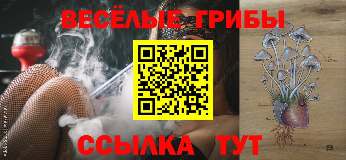 Псилоцибиновые грибы Psilocybine cubensis Кызыл
