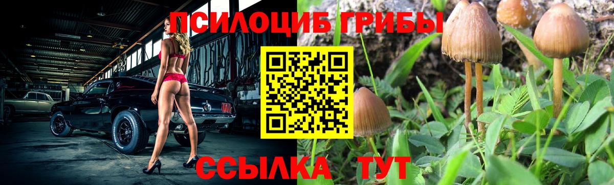 ЭКСТАЗИ  Бошки Шишки  Вход с VPN  Кызыл  A-PVP СК   Cocaine  ГАШИШ  Конопля  Гашиш  Как найти наркотики?  МЕФ  